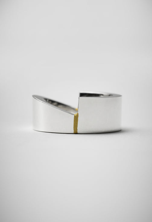 Ring 005