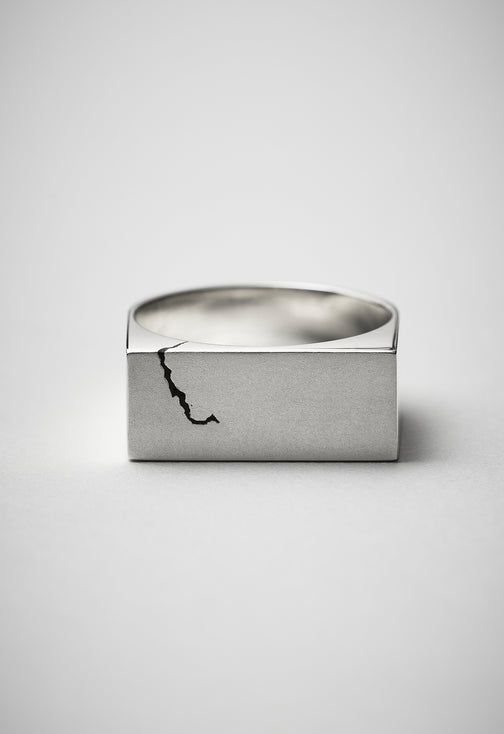 Ring 008