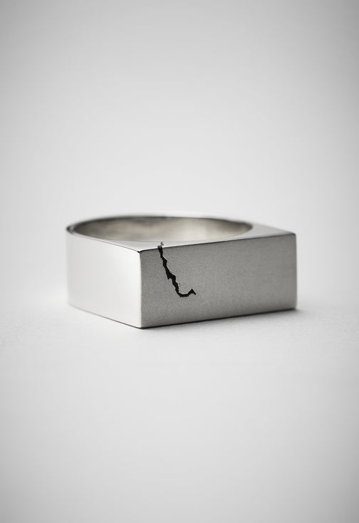 Ring 008